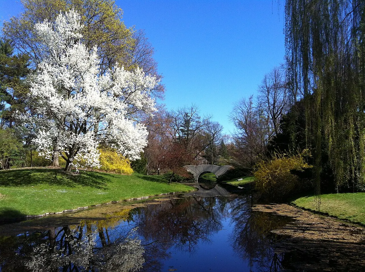 Dow Gardens, Midland, Michigan, United States