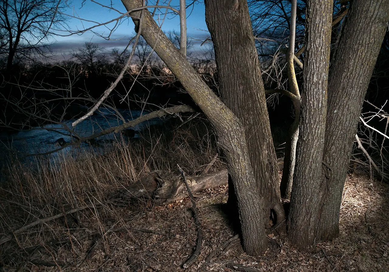 Buffalo River State Park, Moorhead, Minnesota, United States
