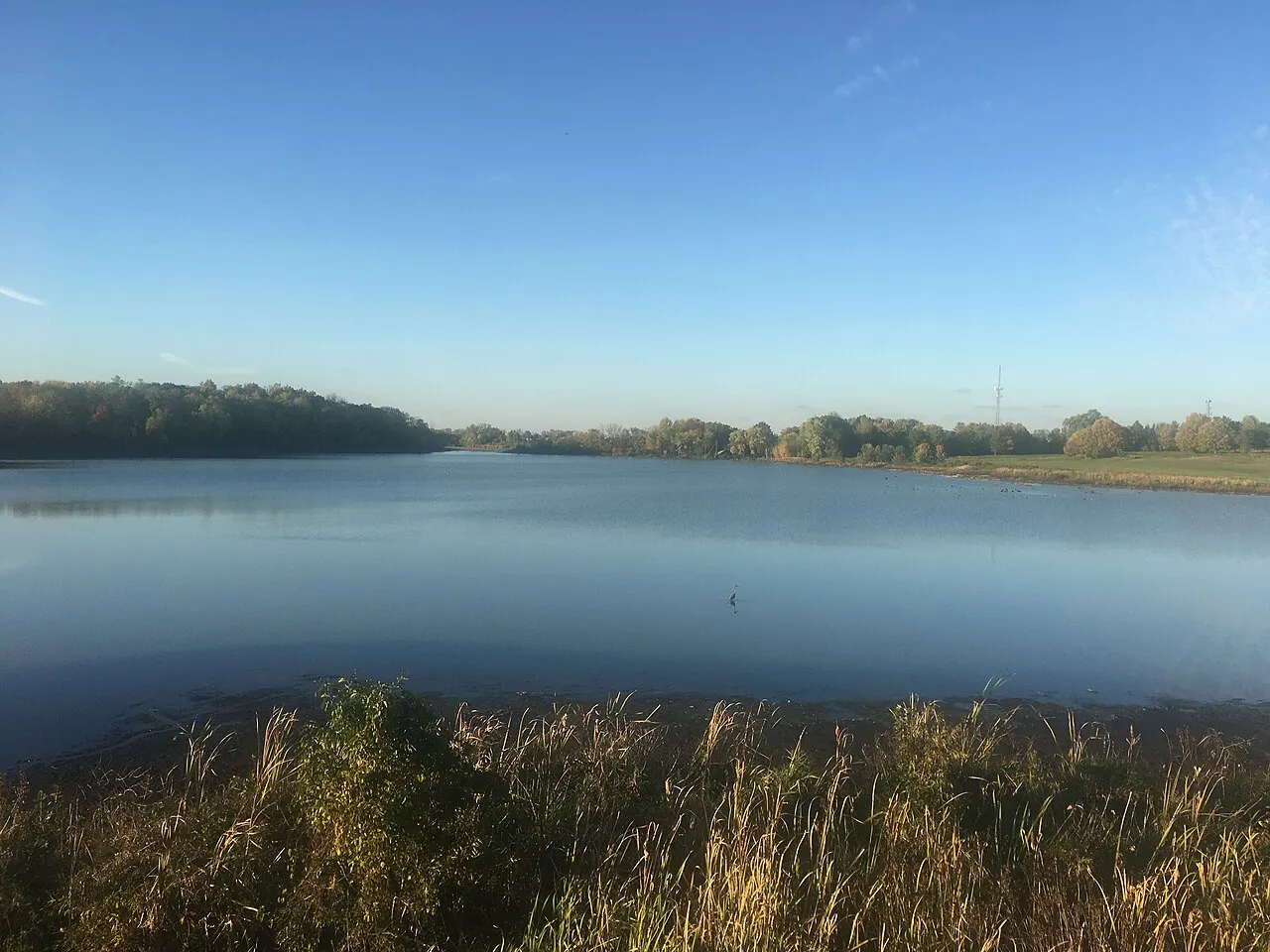 Celery Bog Nature Area, West Lafayette, Indiana, United States