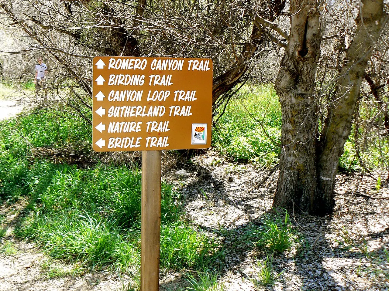 Catalina State Park, Oro Valley, Arizona, United States