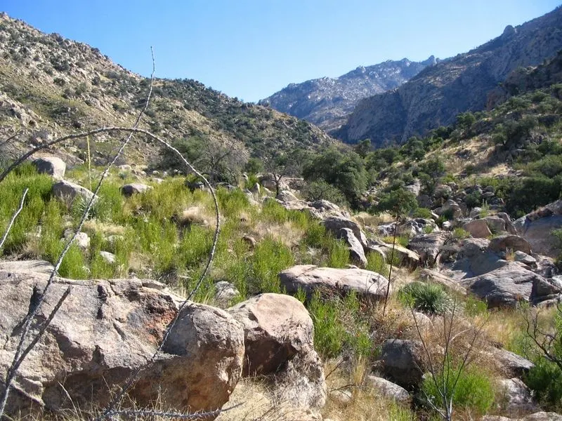 Romero Canyon Trail, Oro Valley, Arizona, United States