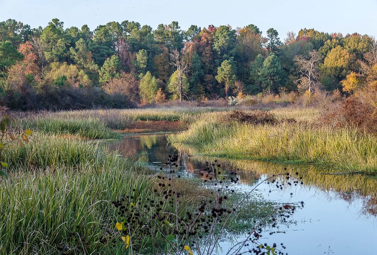 Bayou Bartholomew, Pine Bluff, Arkansas, United States