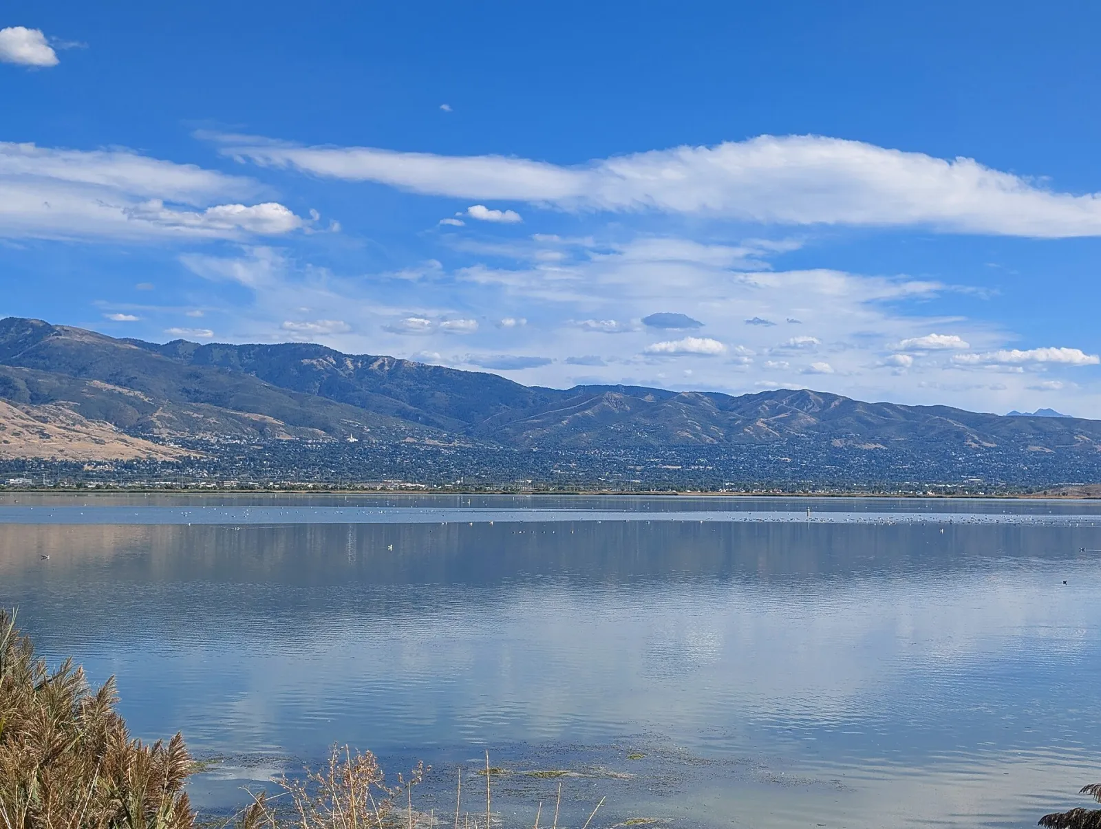 Bountiful, Utah, United States