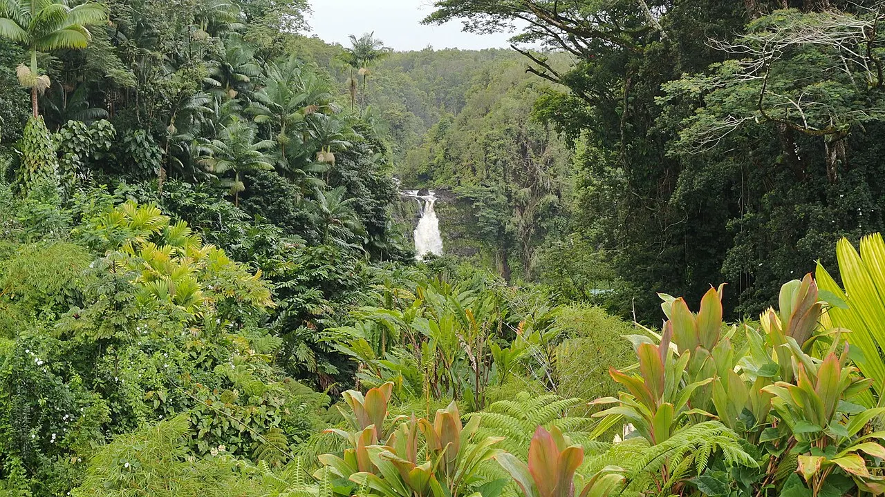 Akaka Falls State Park, Hilo, Hawaii, United States