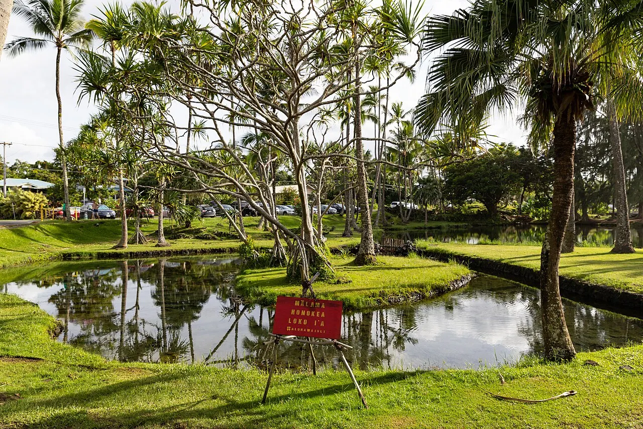 Richardson Ocean Park, Hilo, Hawaii, United States