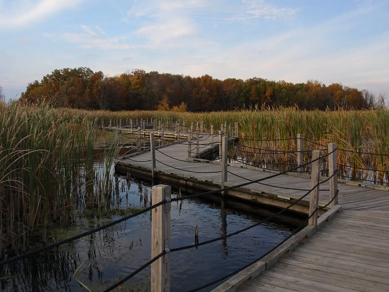 Horicon Marsh, Fond du Lac, Wisconsin, United States