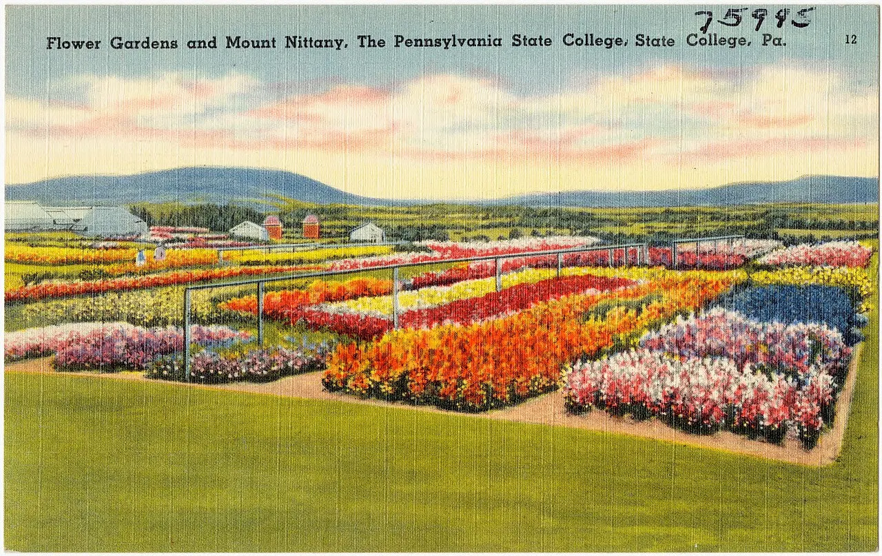 Mount Nittany, State College, Pennsylvania, United States