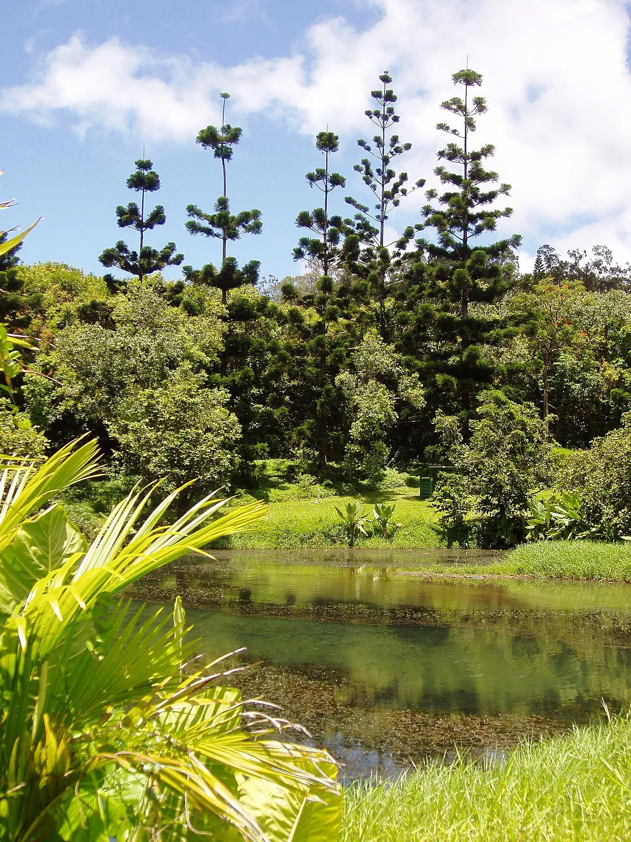 Hoomaluhia Botanical Garden, Kaneohe, Hawaii, United States