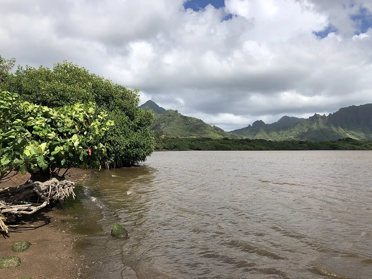 Waiahole Beach Park, Kaneohe, Hawaii, United States