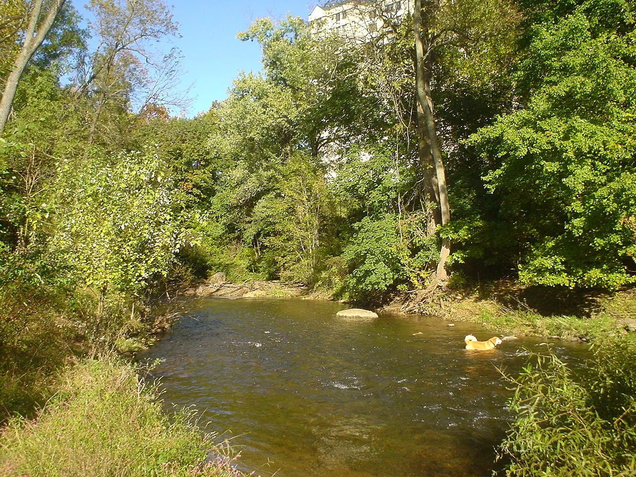 Taylor Memorial Arboretum, Chester, Pennsylvania, United States