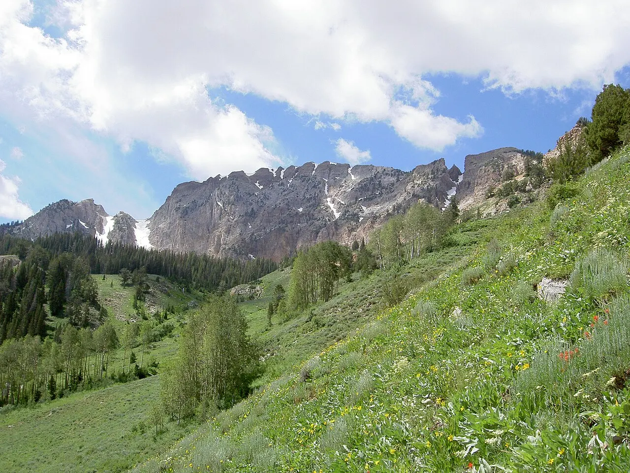 Deseret Peak, Tooele, Utah, United States