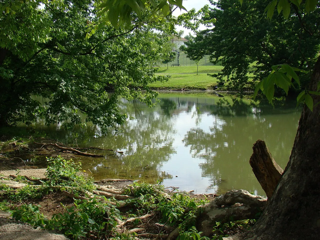 Elkhorn Creek Georgetown, Georgetown, Kentucky, United States