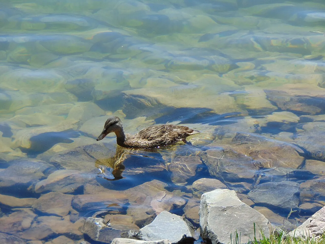 Wayne Bartholomew Family Park, Springville, Utah, United States