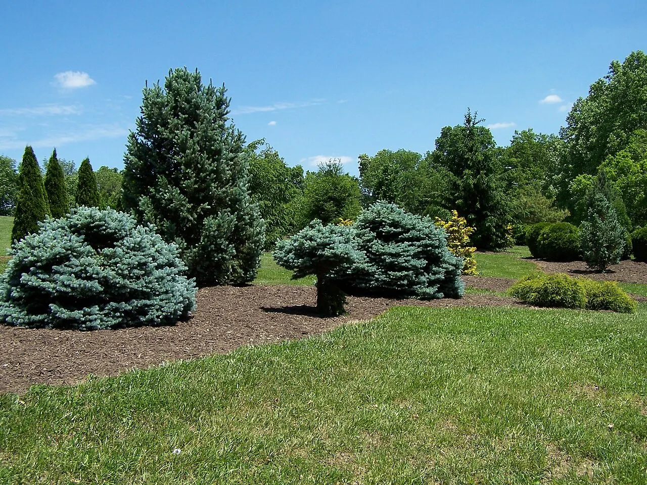 Boone County Arboretum, Florence, Kentucky, United States