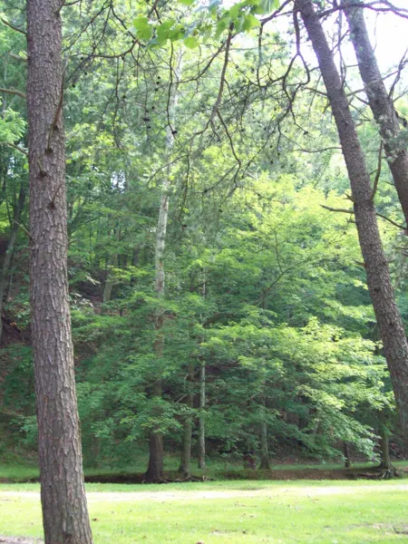 Mountwood Park, Parkersburg, West Virginia, United States