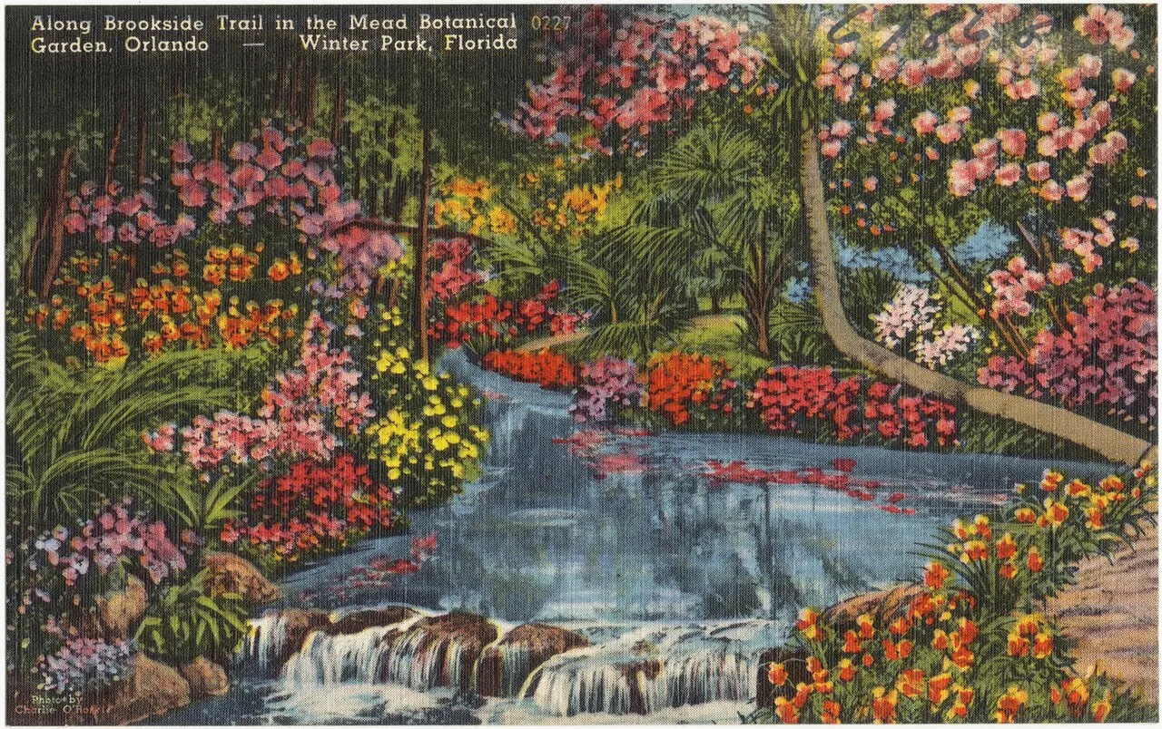 Mead Botanical Garden, Winter Park, Florida, United States