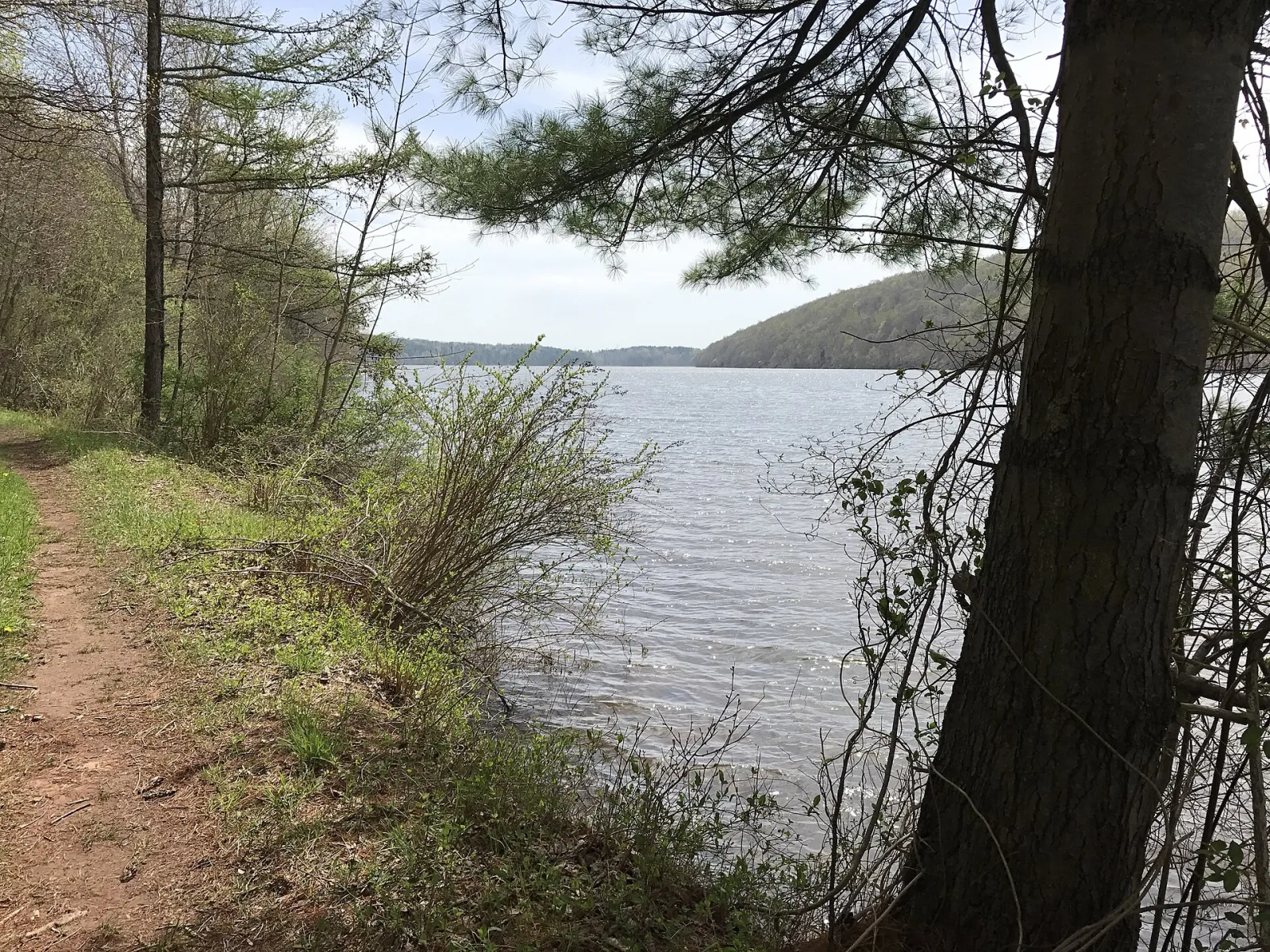 Lake Saltonstall Reservoir, Branford, Connecticut, United States
