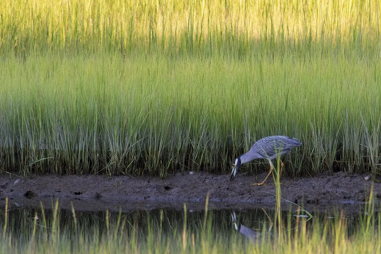 Farm River State Park, East Haven, Connecticut, United States