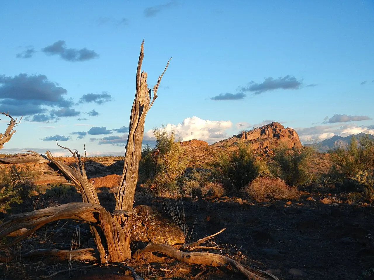 Cerbat Foothills Recreation Area, Kingman, Arizona, United States