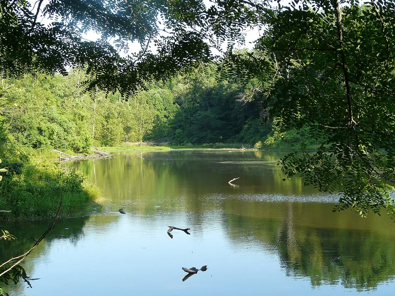 John James Audubon State Park, Henderson, Kentucky, United States