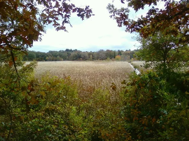 Cutler Park Reservation, Needham, Massachusetts, United States