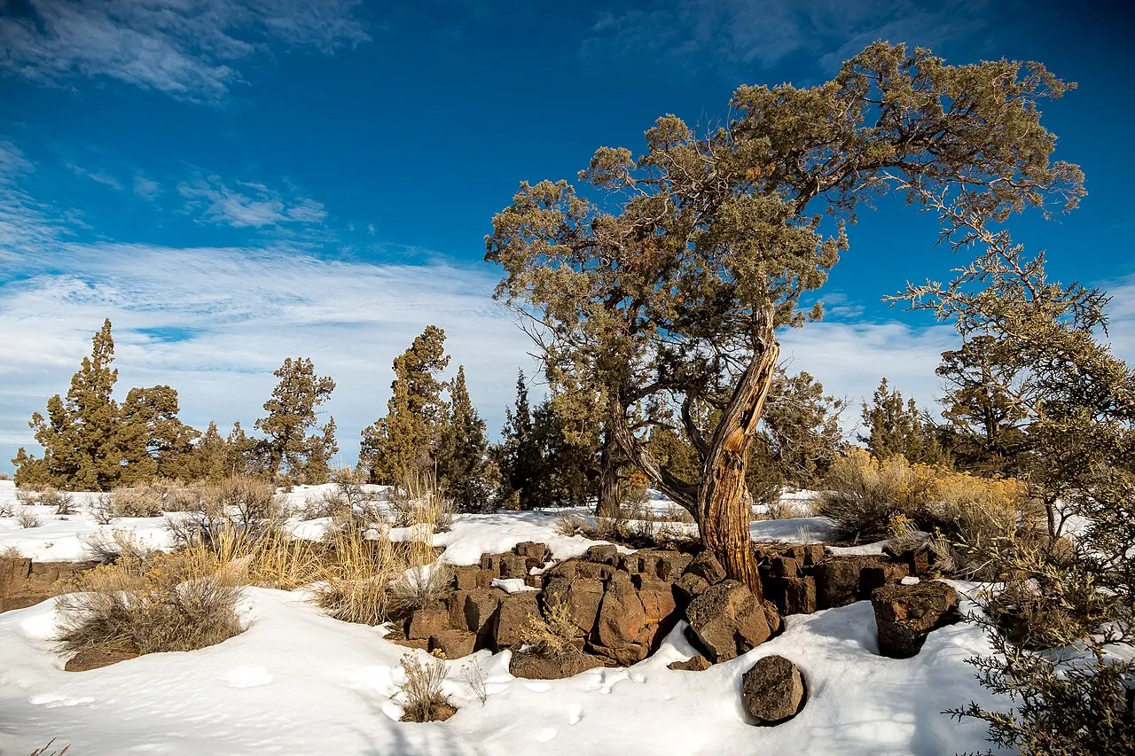 Redmond Caves Recreation Site, Redmond, Oregon, United States