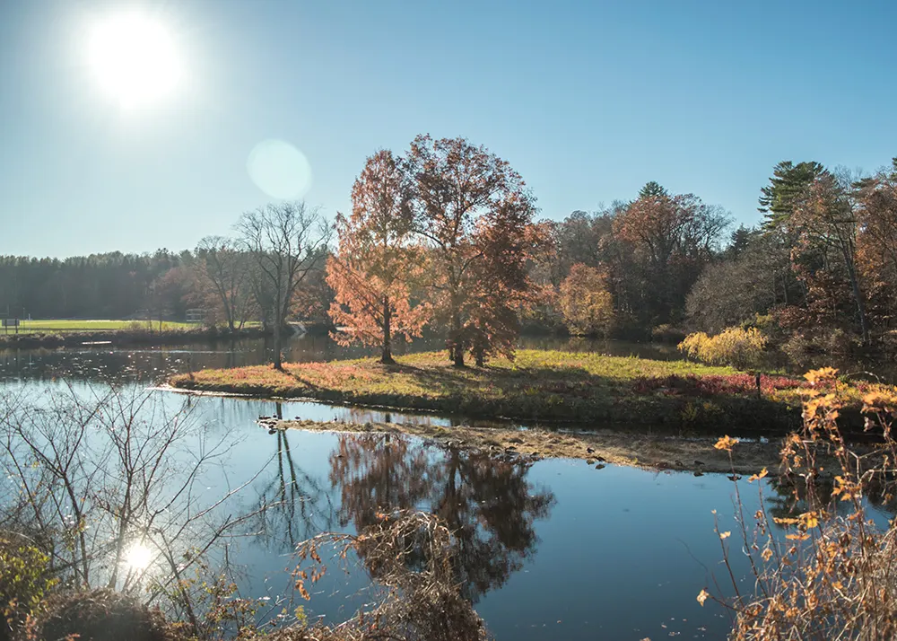 Paradise Pond, Northampton, Massachusetts, United States