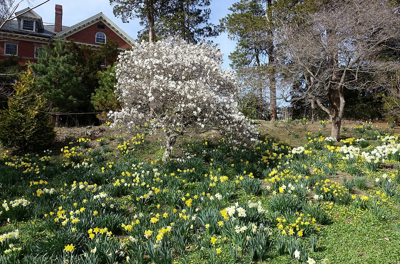 Smith College Botanic Garden, Northampton, Massachusetts, United States