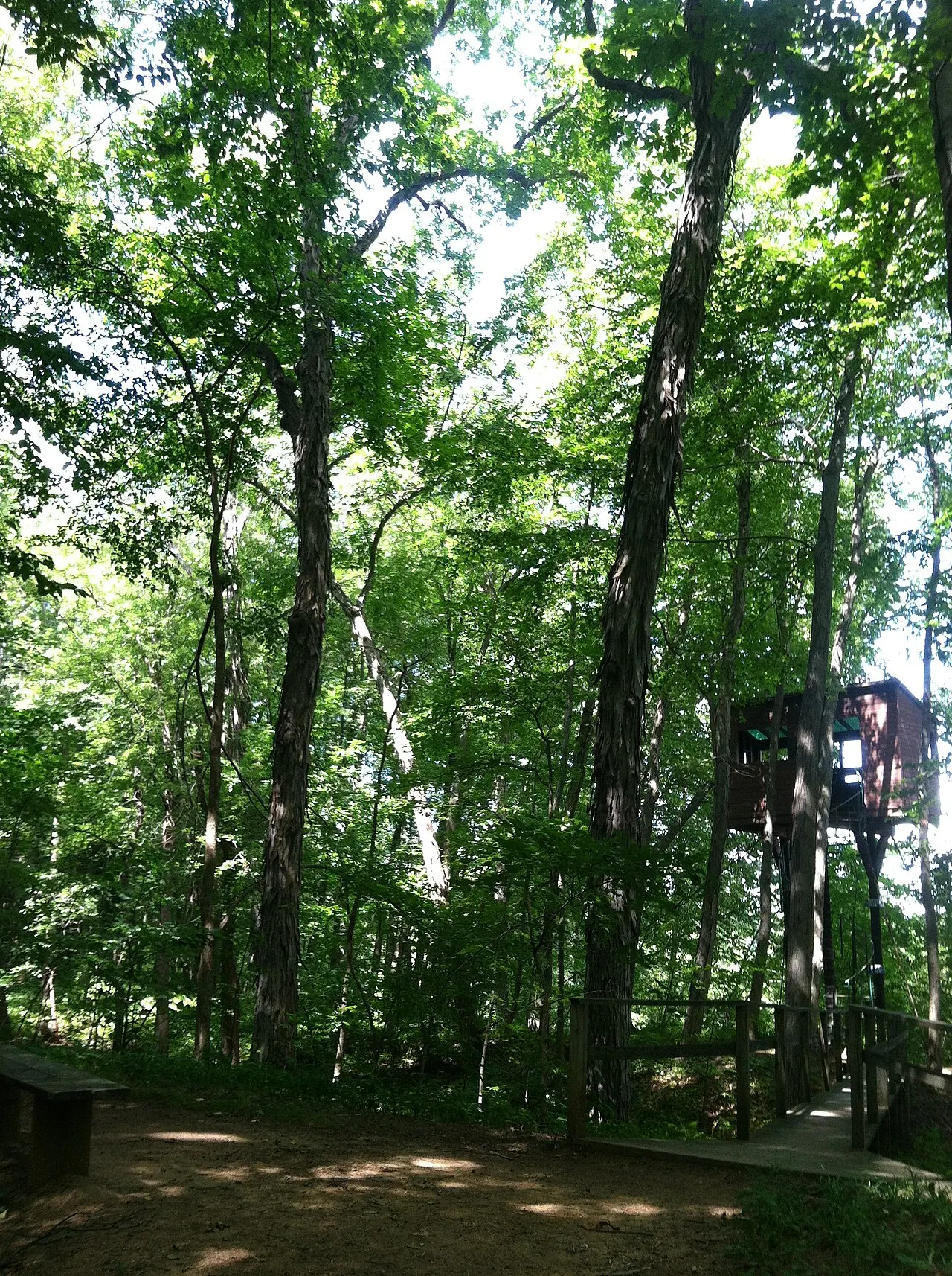 Arcadia Wildlife Sanctuary, Northampton, Massachusetts, United States