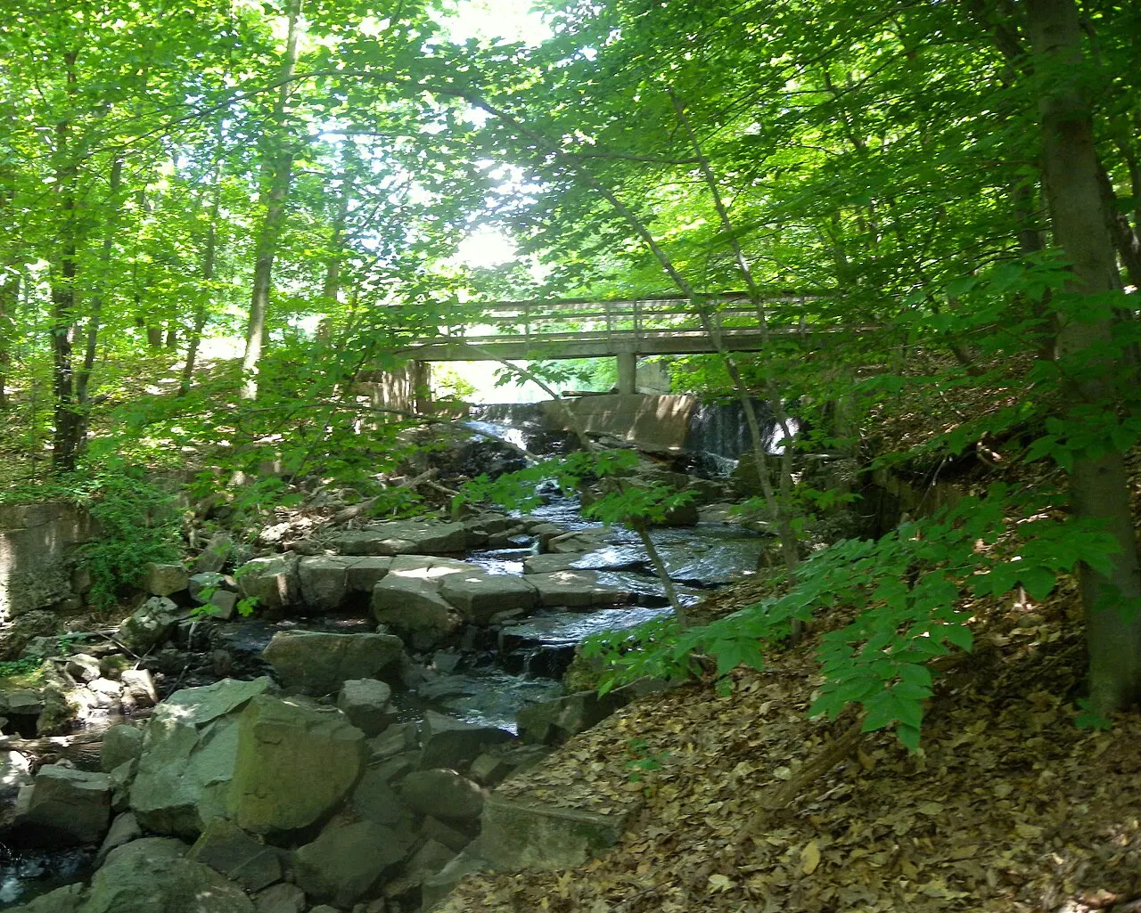 Flat Rock Brook Nature Center, Englewood, New Jersey, United States