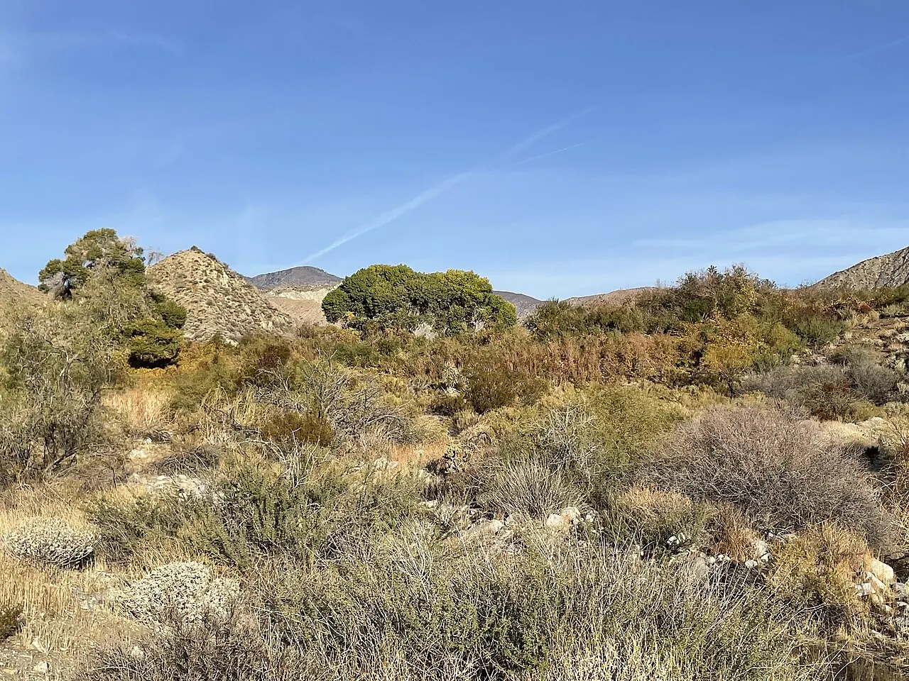 Mission Creek Preserve, Desert Hot Springs, California, United States