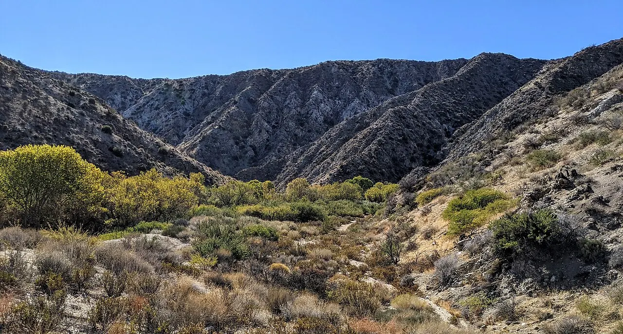 Big Morongo Canyon Preserve, Desert Hot Springs, California, United States