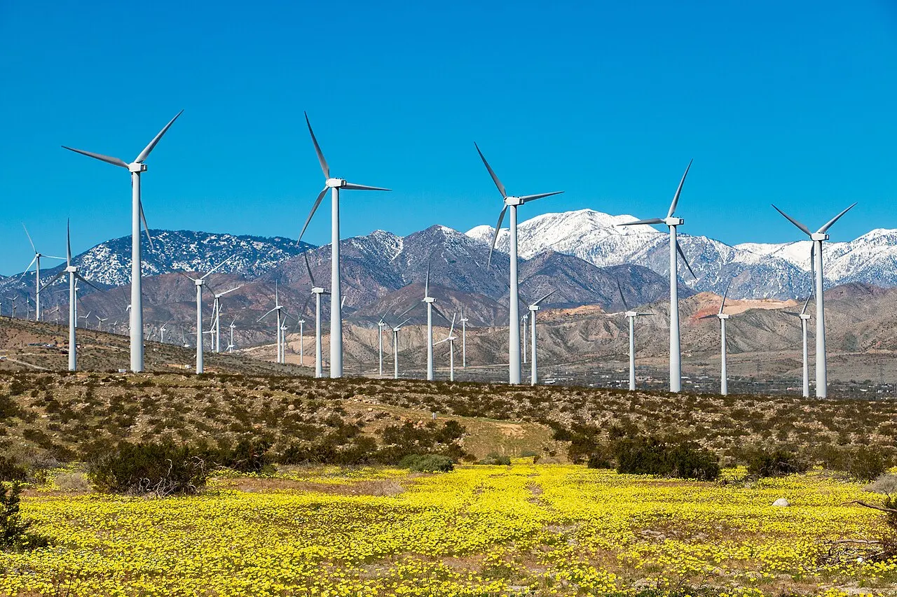 San Gorgonio Pass Wind Farm, Desert Hot Springs, California, United States