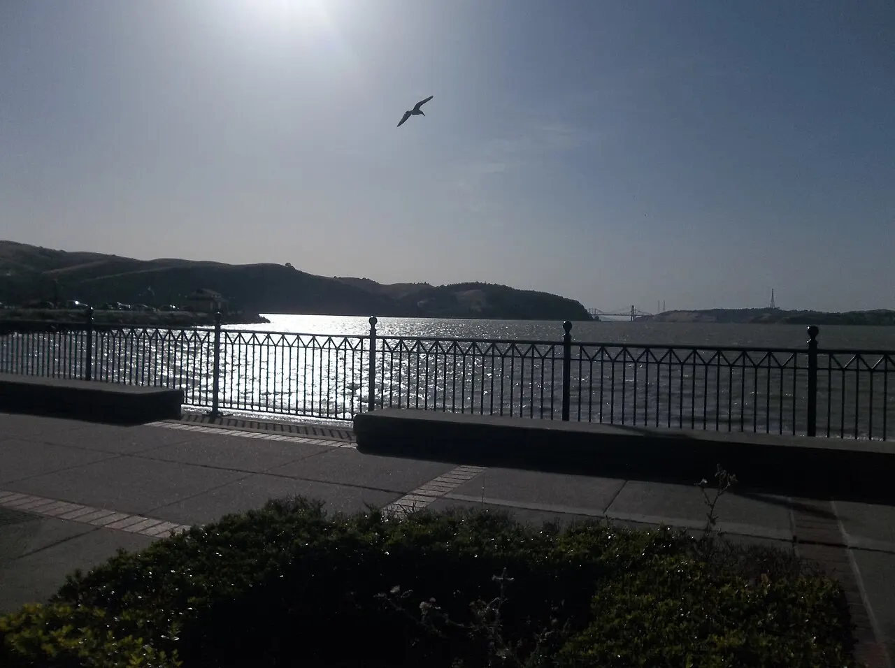 Benicia Point Pier, Benicia, California, United States