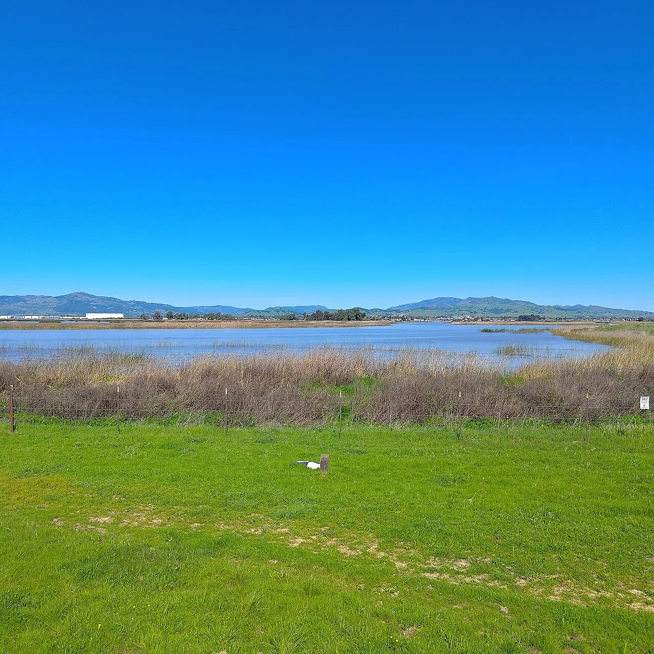 Suisun Slough, Suisun, California, United States