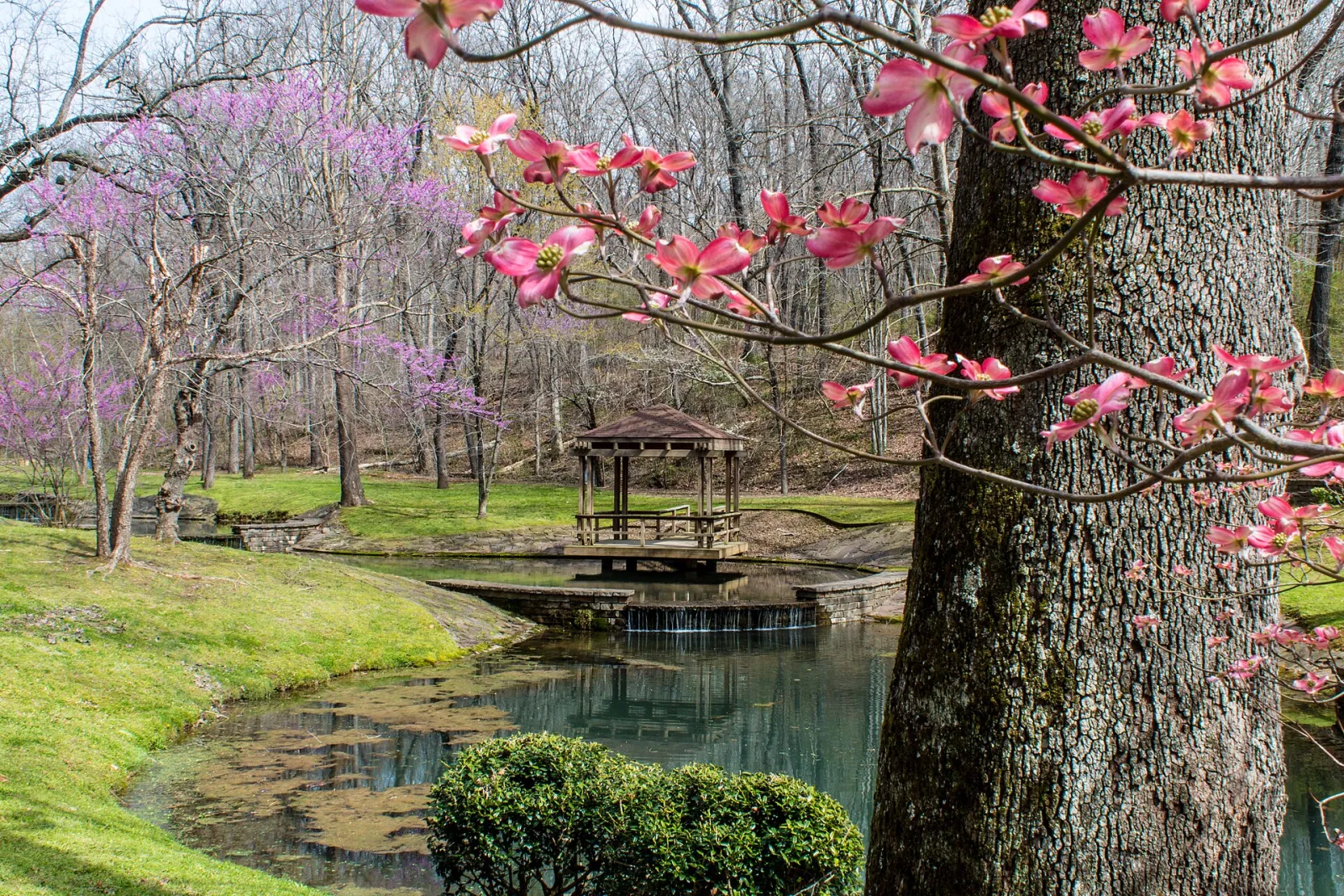 Bella Vista, AR panoramio, Bella Vista, Arkansas, United States