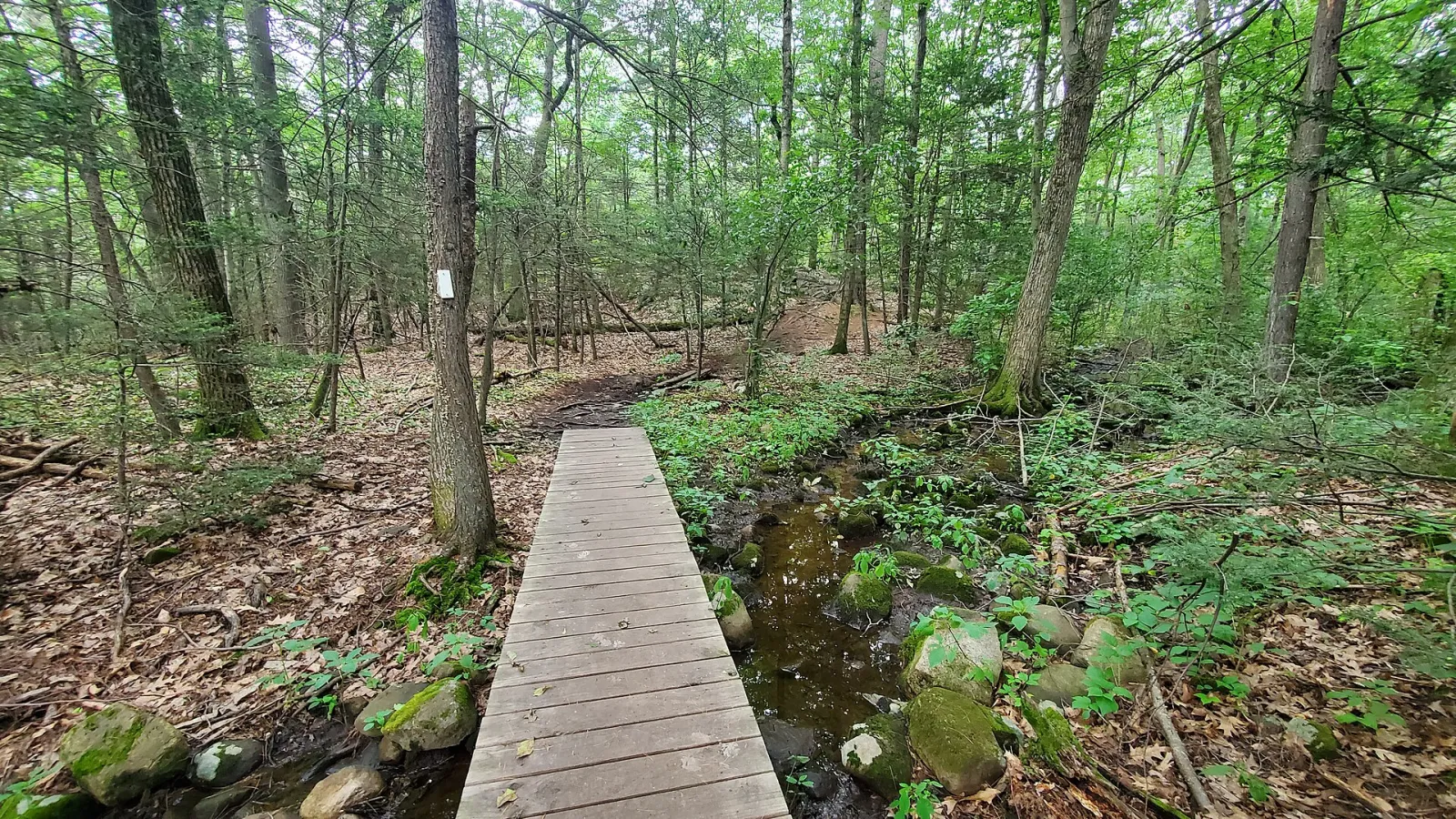 Middlesex Fells Melrose, Melrose, Massachusetts, United States