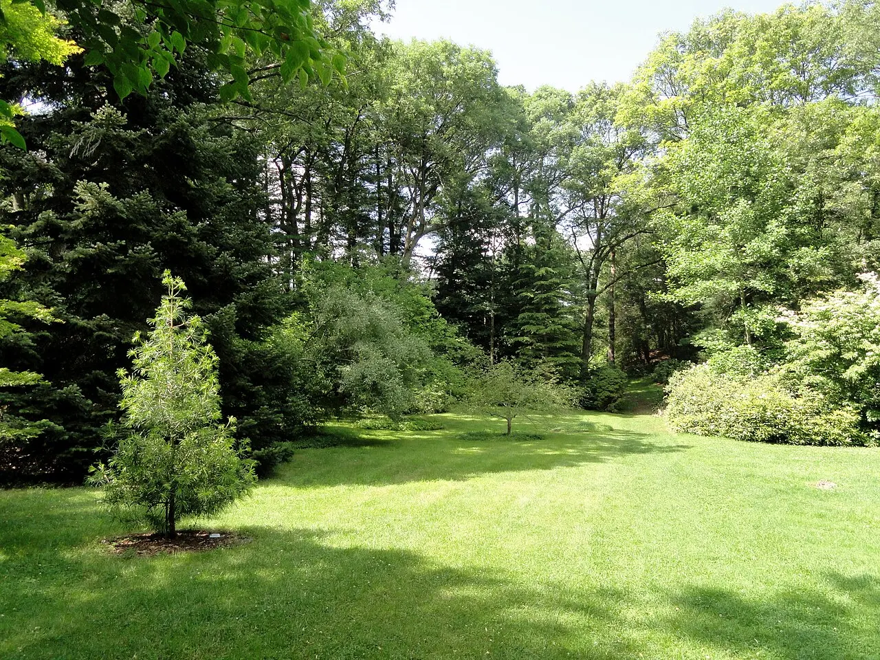 Wellesley College Botanic Gardens, Wellesley, Massachusetts, United States