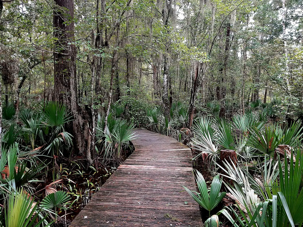 Camp Salmen Nature Park, Slidell, Louisiana, United States