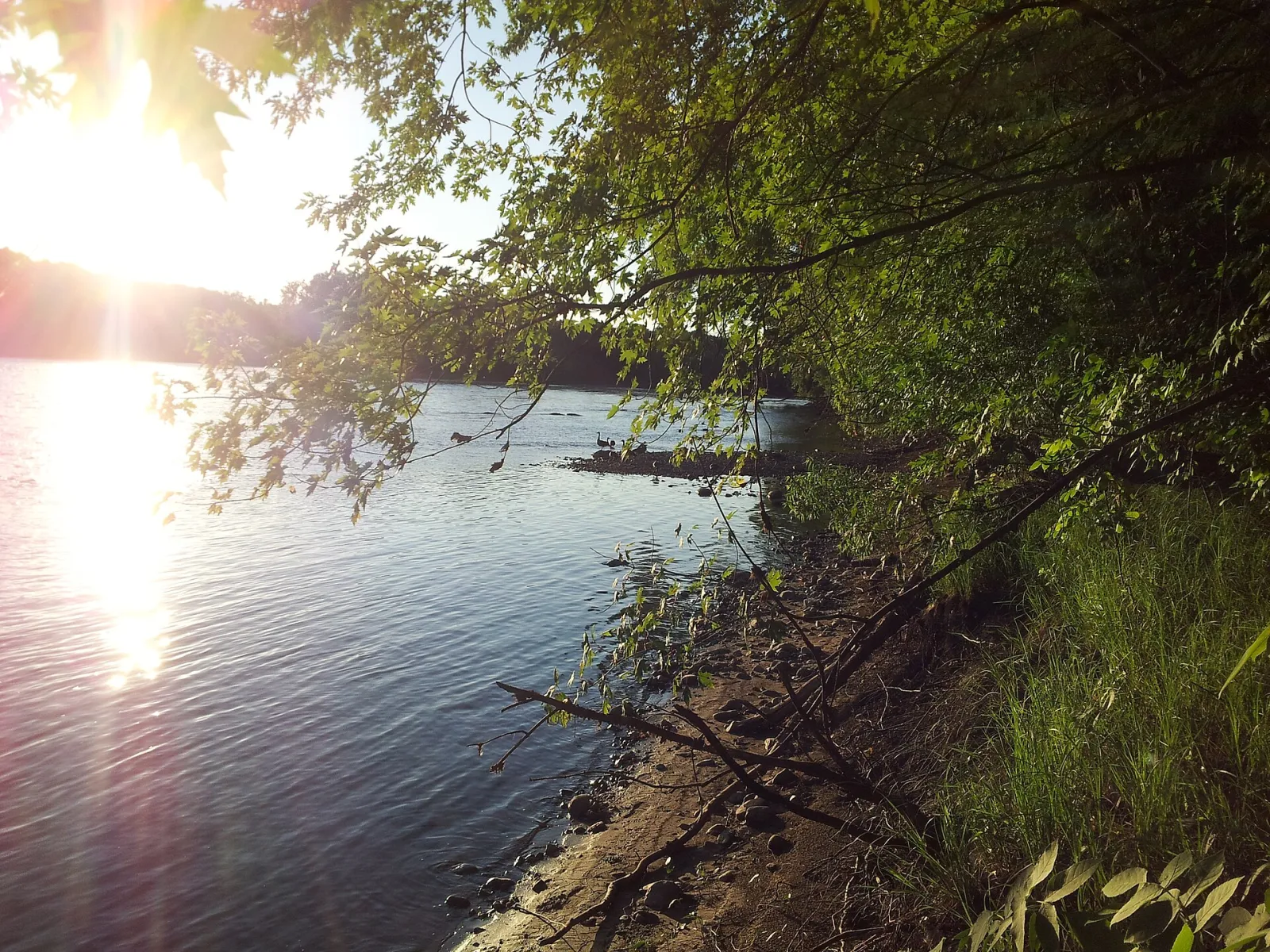 Mississippi River Fridley, MN panoramio (2), Fridley, Minnesota, United States