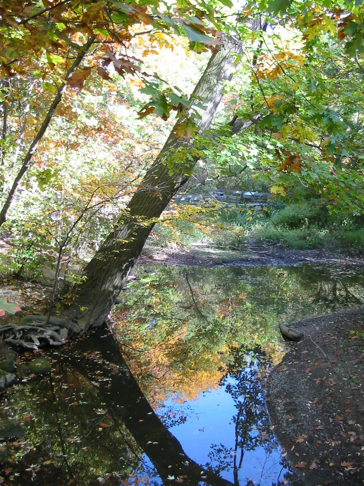 Nature Center at Shaker Lakes, Shaker Heights, Ohio, United States