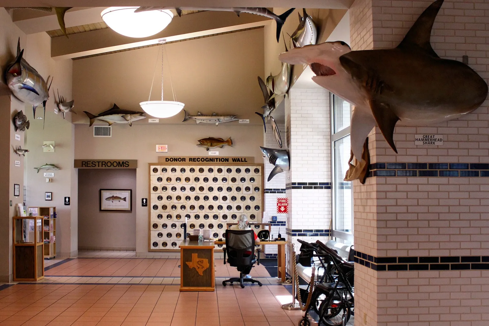 Lobby Sea Center Texas Lake Jackson 2023, Lake Jackson, Texas, United States