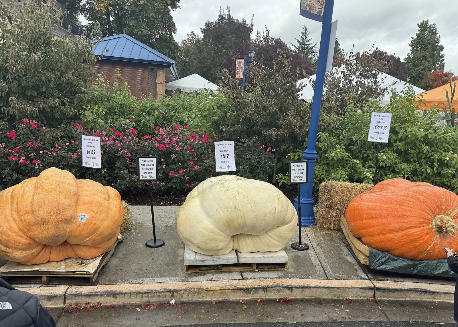 West Coast Giant Pumpkin Regatta, Tualatin, Oregon, United States