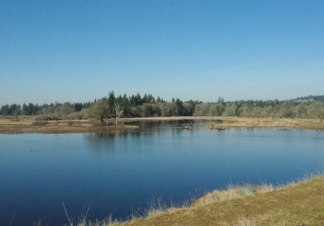 Tualatin River National Wildlife Refuge, Tualatin, Oregon, United States
