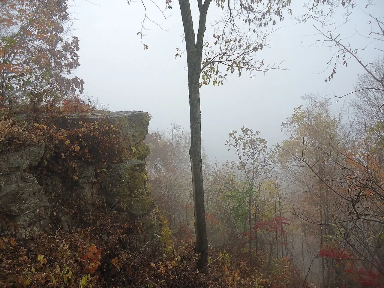 Great River Bluffs State Park, Winona, Minnesota, United States
