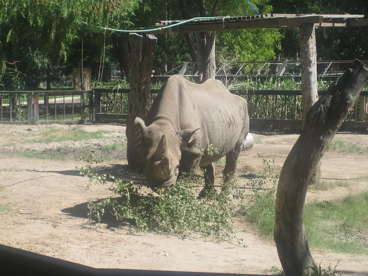 Lee Richardson Zoo, Garden City, Kansas, United States
