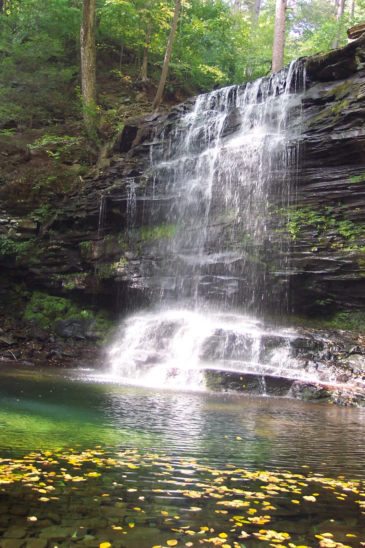 Ricketts Glen State Park, Back Mountain, Pennsylvania, United States