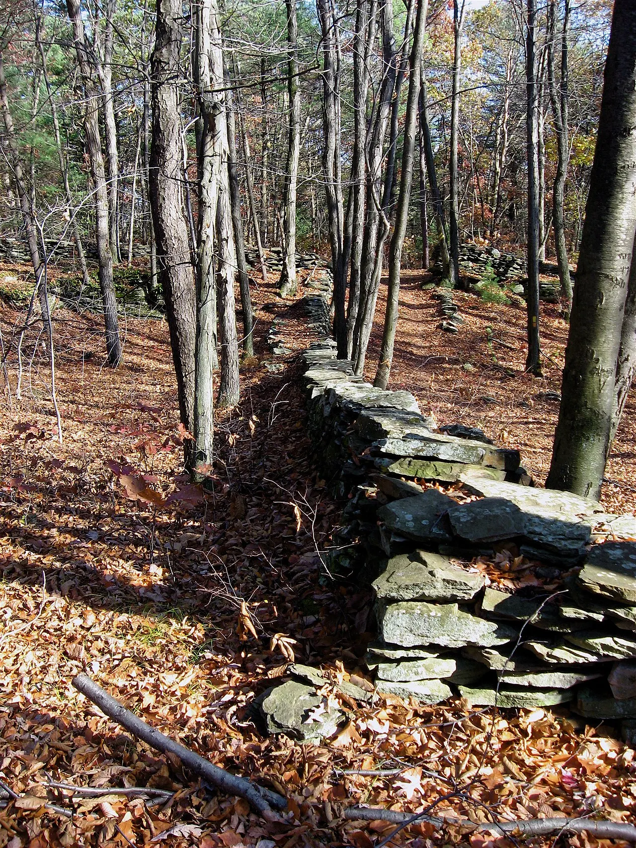 Frances Slocum State Park, Back Mountain, Pennsylvania, United States