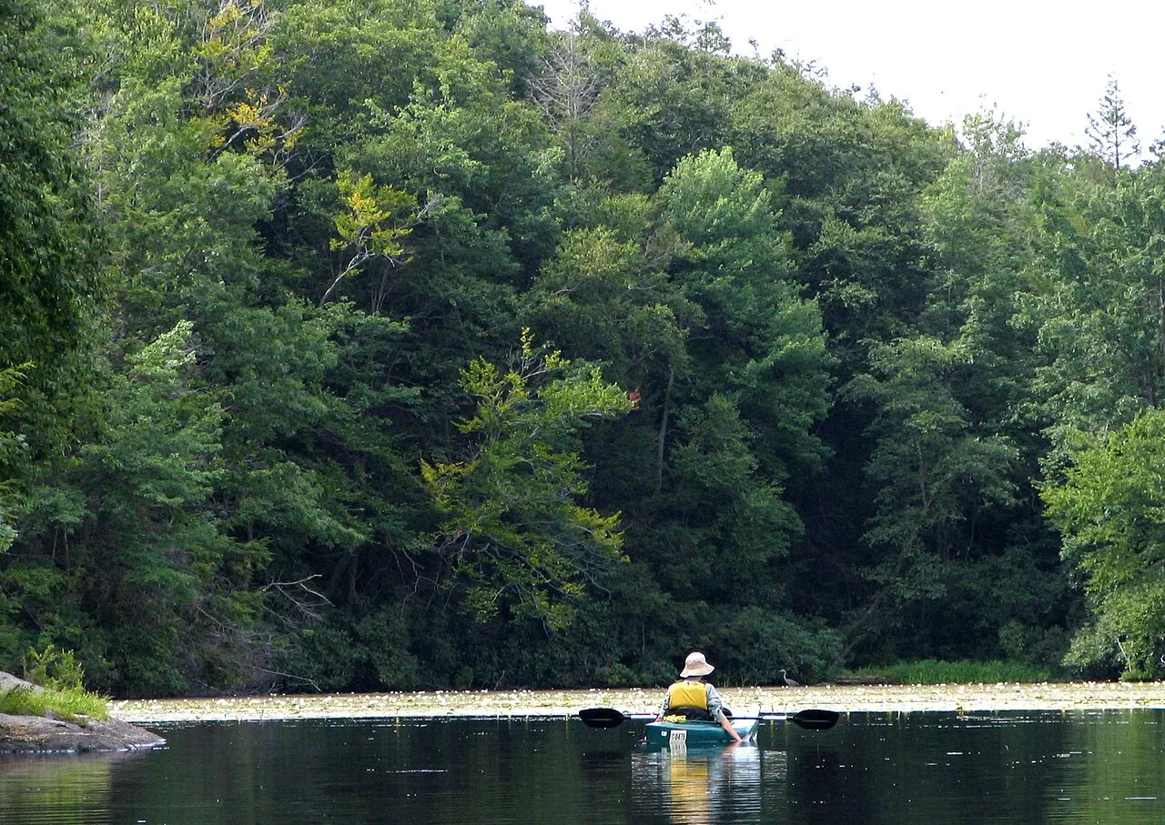 Wawayanda State Park, West Milford, New Jersey, United States