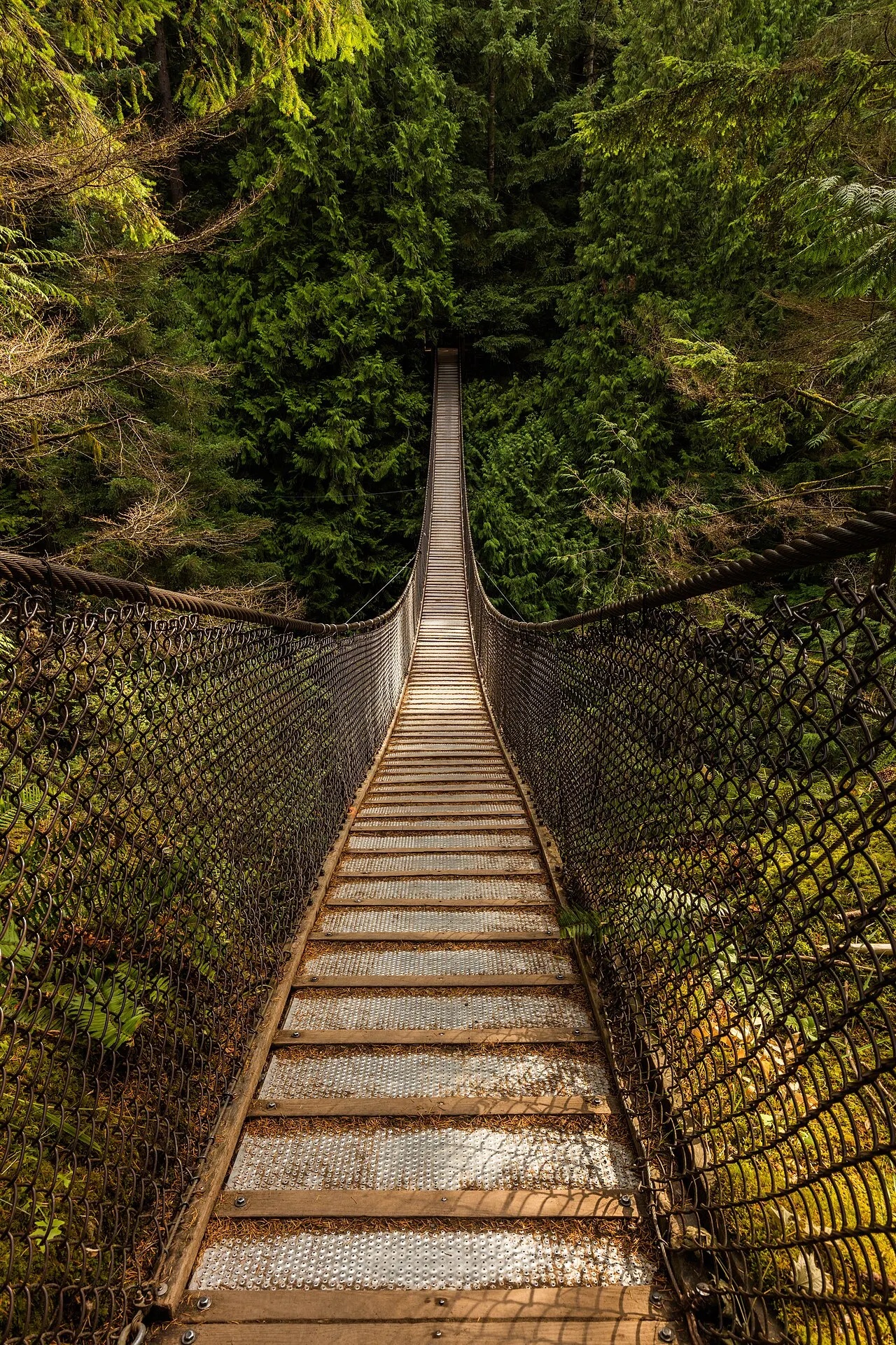 Lynn Canyon Park, Vancouver, Canada